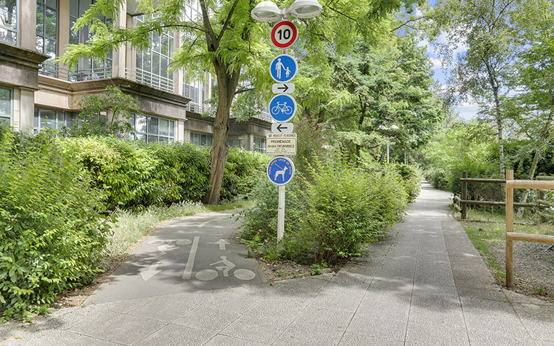 quartier petit